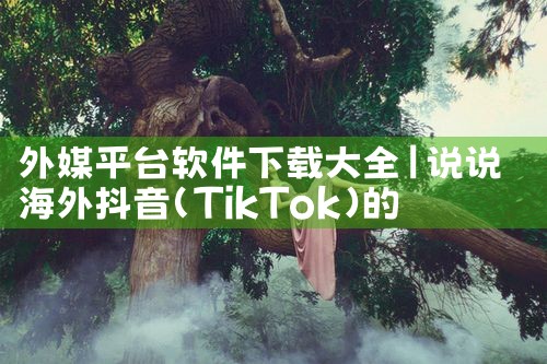 外媒平台软件下载大全