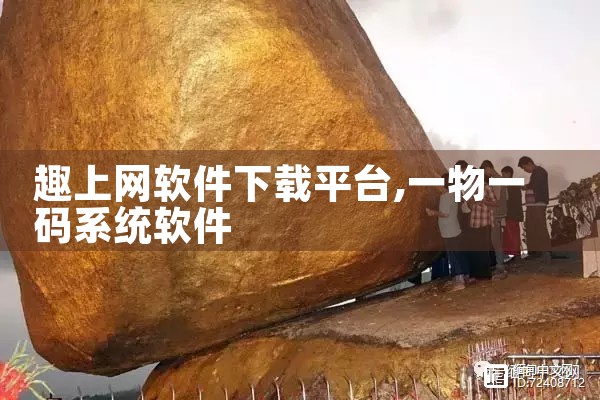 趣上网软件下载平台