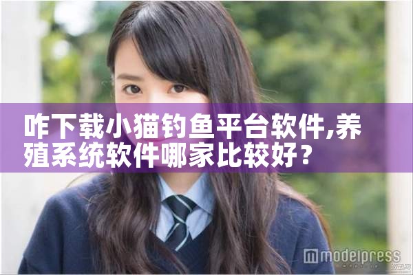 咋下载小猫钓鱼平台软件