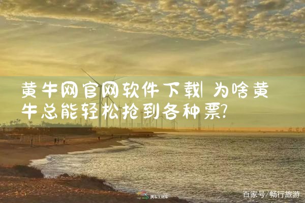 黄牛网官网软件下载